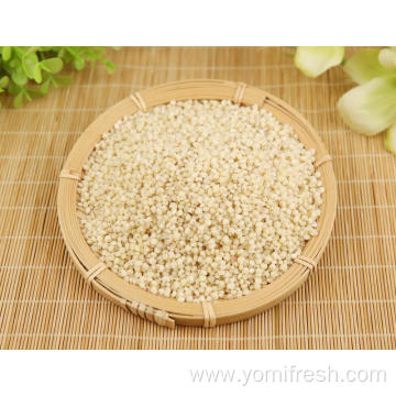 Rice Sorghum